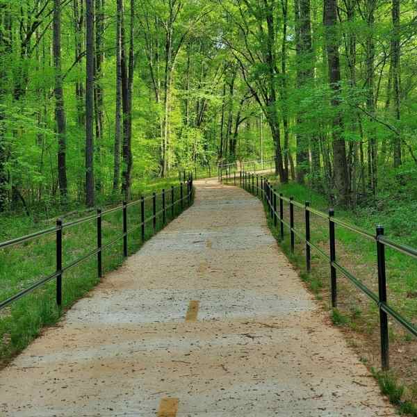 Photo of painted two rail pipe fence installed on a park trail using Bullet Fence Systems. Anyone can buy Fence Bullets, the no weld adjustable pipe rail fence connectors. Shop online and order your pipe rail fence kits today. 