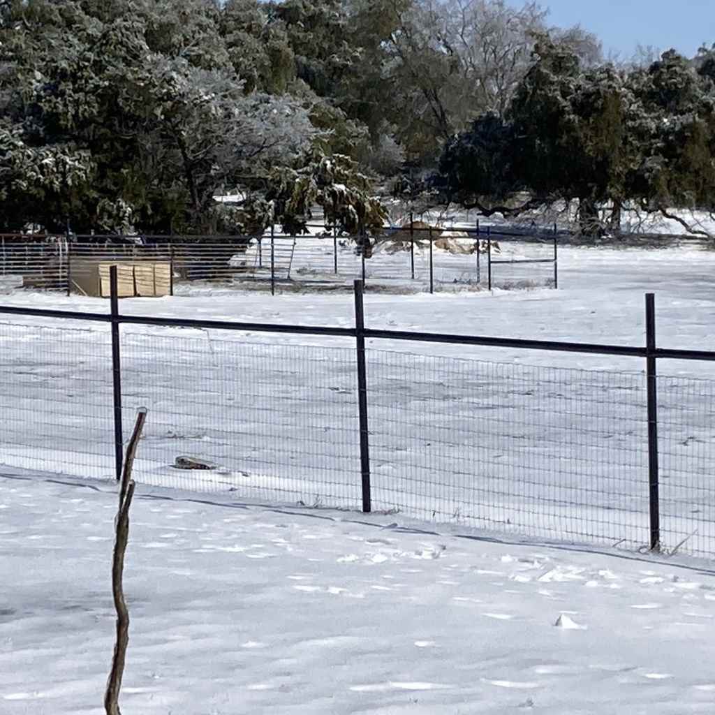 One rail pipe fence with wire, connected not by welding but by a no-weld fence pipe connector. Building fence now got a lot easier with Bullet Fence Systems. 